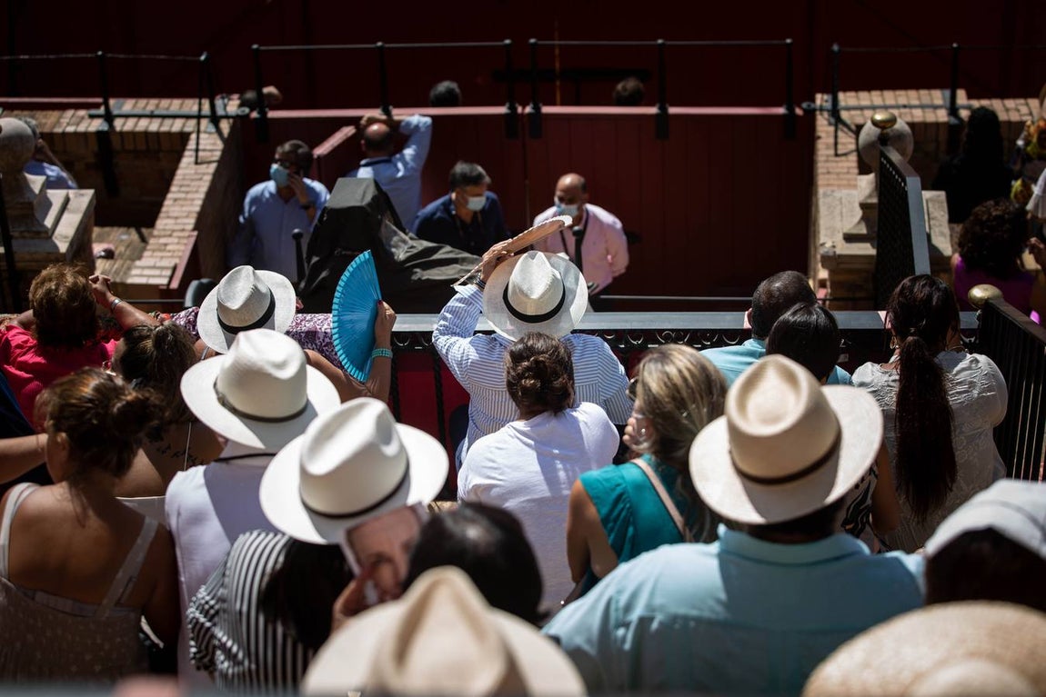 La Exhibición de Enganches vuelve a la Real Maestranza de Sevilla