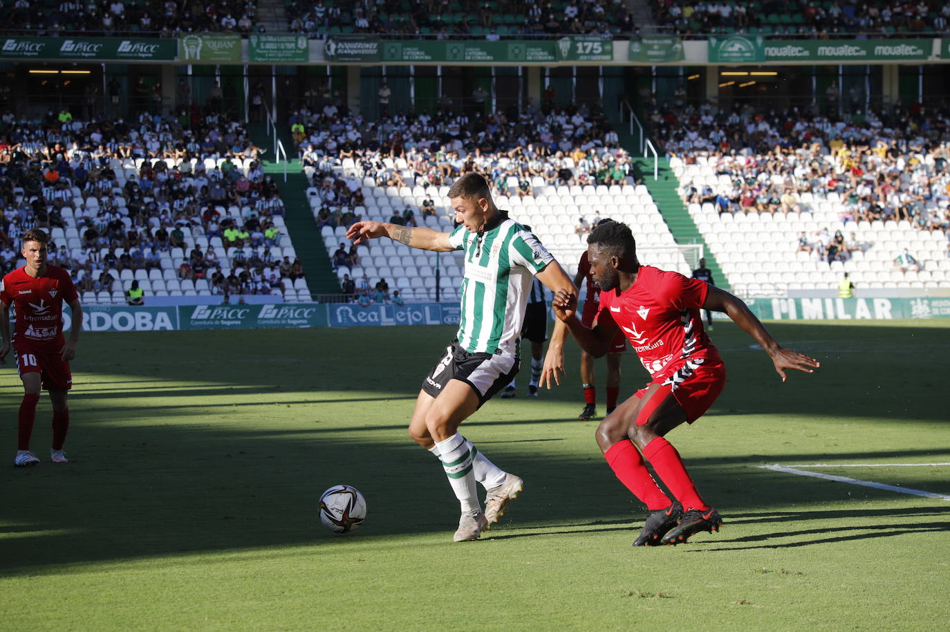 El Córdoba CF - Don Benito, en imágenes