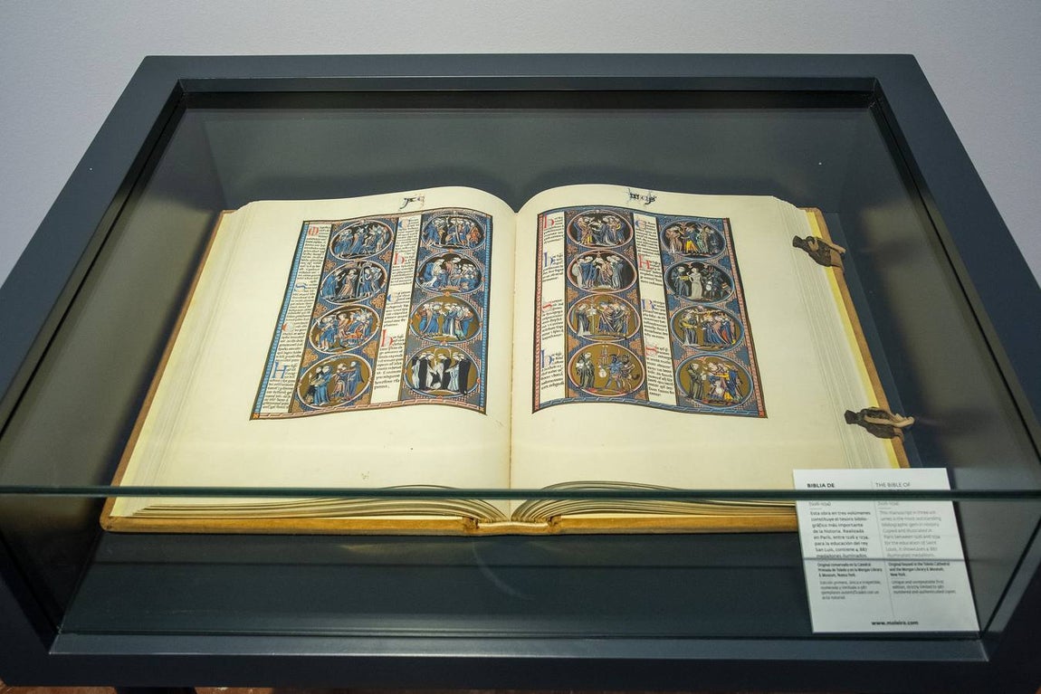 En imágenes, la exposición &#039;Plantas y flores curativas en los códices iluminados (siglos X - XVI)&#039; en el Alcázar de Sevilla