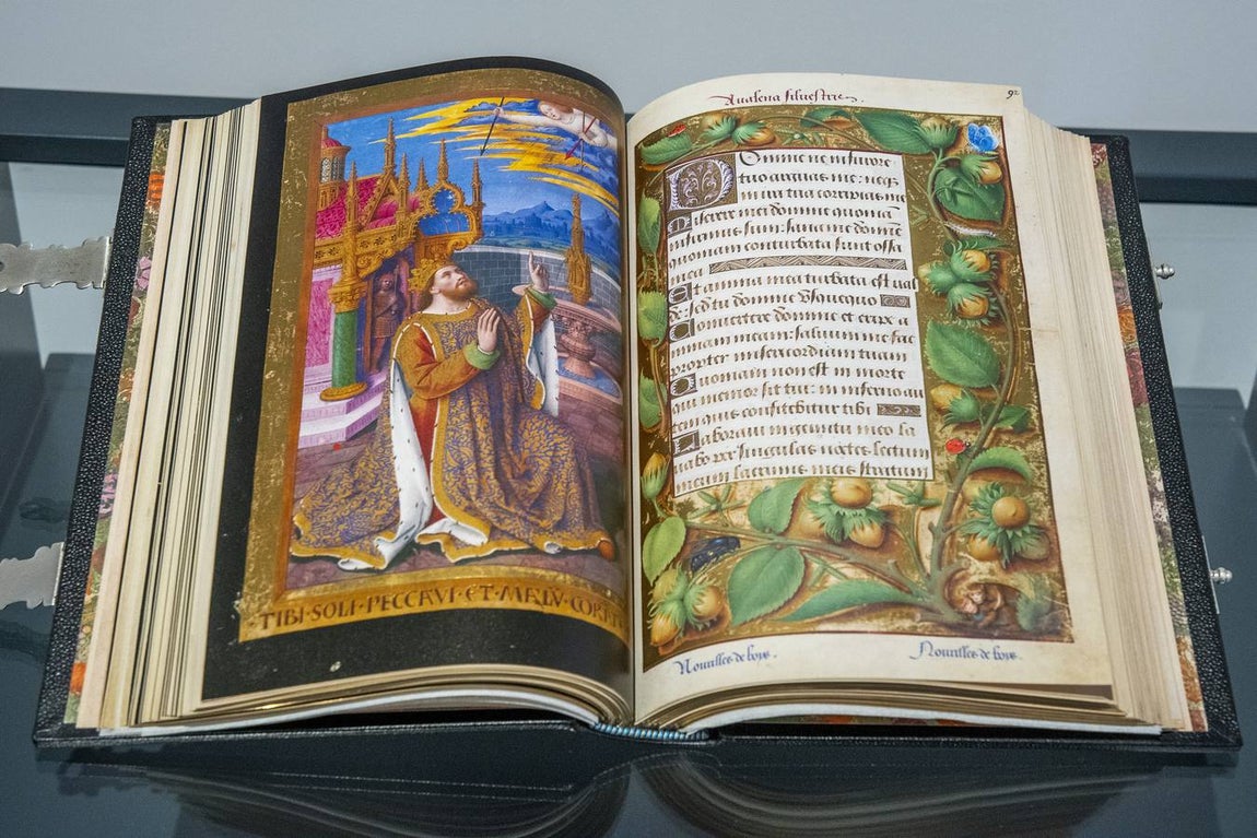 En imágenes, la exposición &#039;Plantas y flores curativas en los códices iluminados (siglos X - XVI)&#039; en el Alcázar de Sevilla