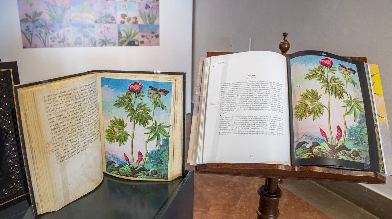 En imágenes, la exposición &#039;Plantas y flores curativas en los códices iluminados (siglos X - XVI)&#039; en el Alcázar de Sevilla