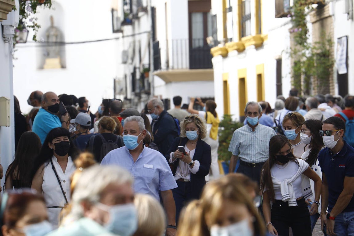 La apertura extraordinaria de los Patios de Córdoba, en imágenes