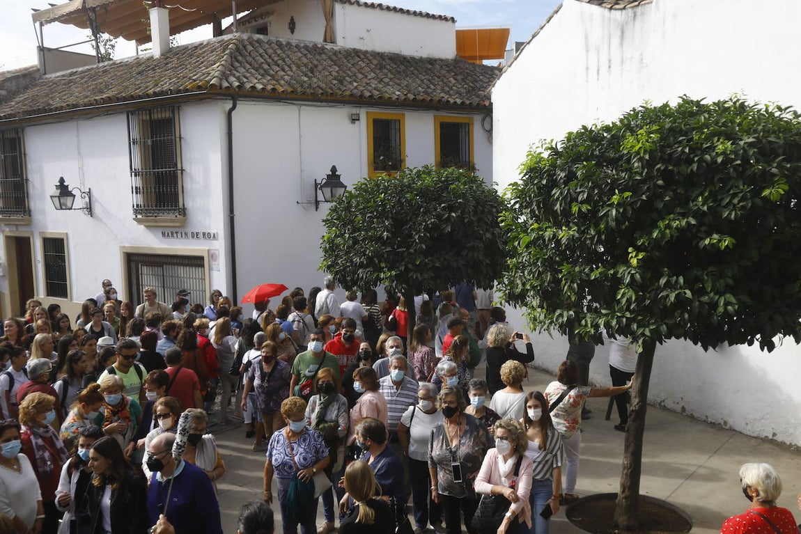 La apertura extraordinaria de los Patios de Córdoba, en imágenes