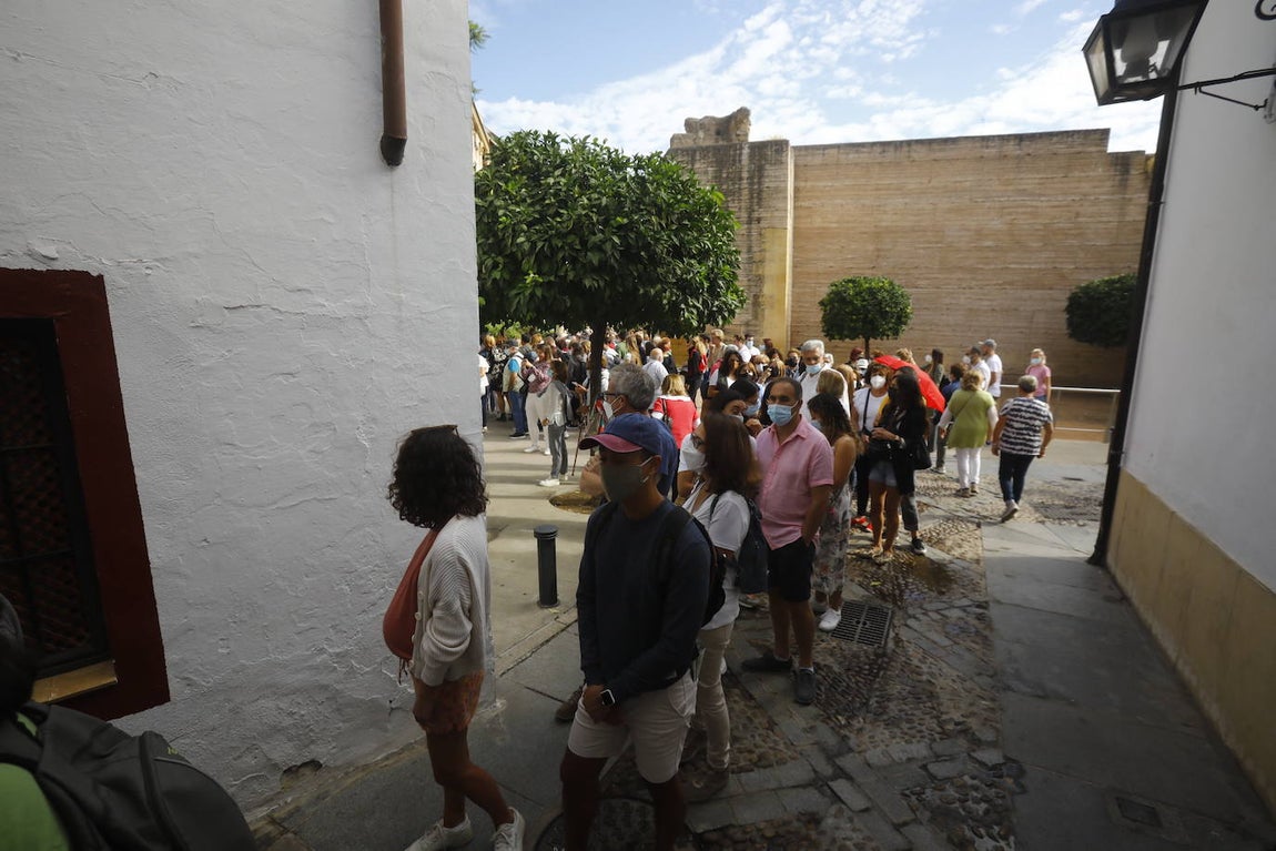La apertura extraordinaria de los Patios de Córdoba, en imágenes