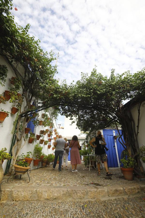 La apertura extraordinaria de los Patios de Córdoba, en imágenes