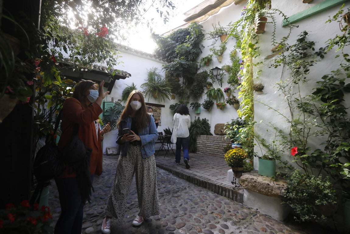 La apertura extraordinaria de los Patios de Córdoba, en imágenes