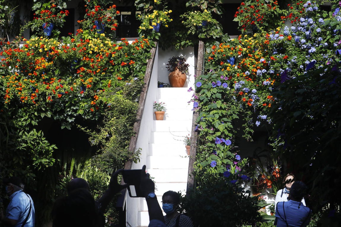 La apertura extraordinaria de los Patios de Córdoba, en imágenes