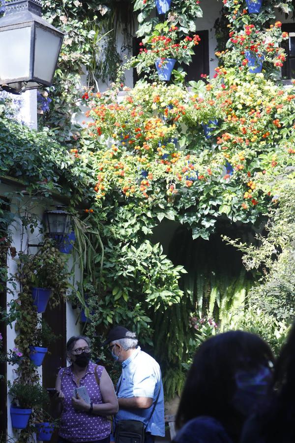 La apertura extraordinaria de los Patios de Córdoba, en imágenes