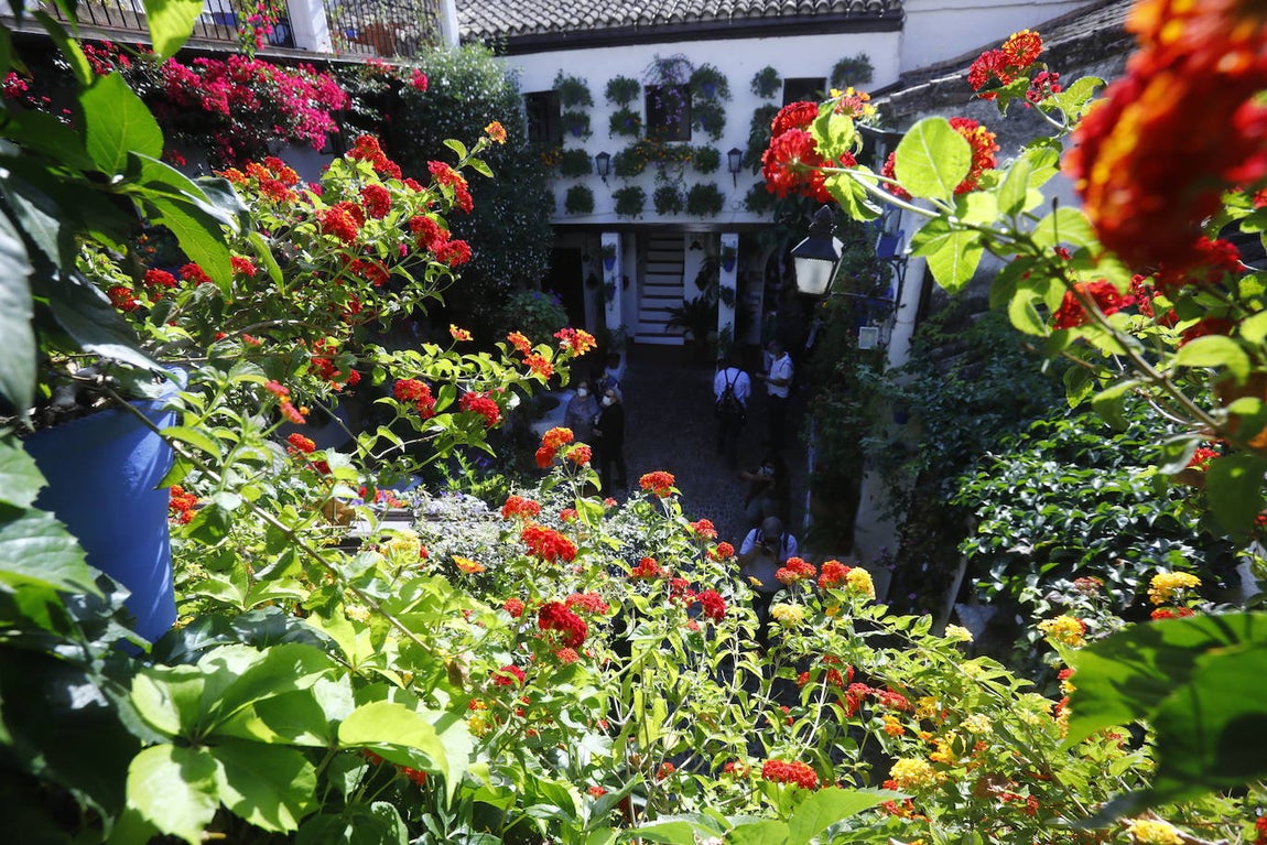 La apertura extraordinaria de los Patios de Córdoba, en imágenes