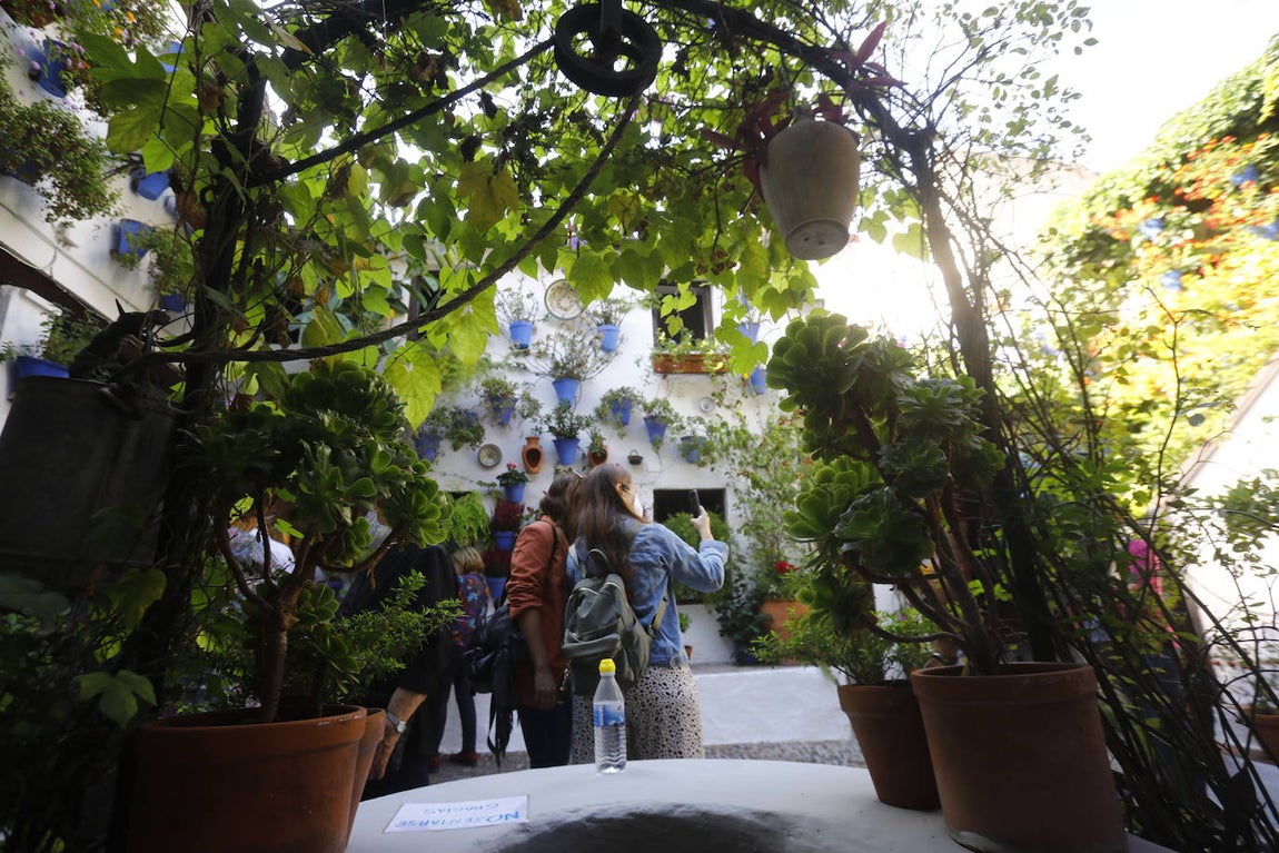 La apertura extraordinaria de los Patios de Córdoba, en imágenes