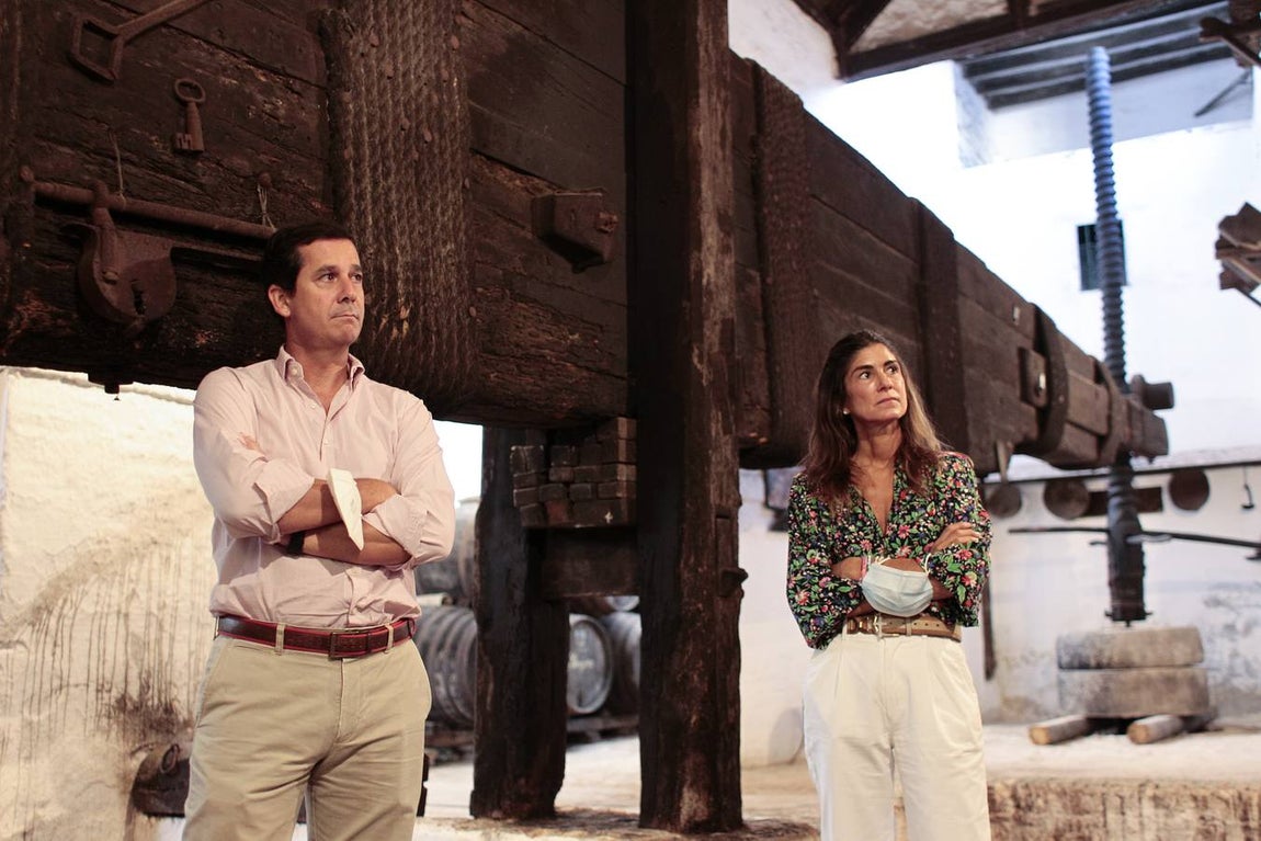 Bodegas Góngora: Enoturismo de lujo en el Aljarafe