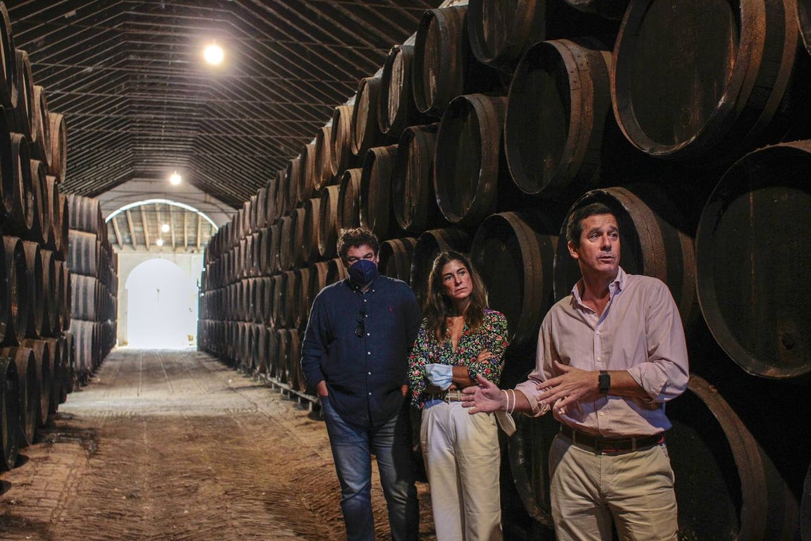 Bodegas Góngora: Enoturismo de lujo en el Aljarafe