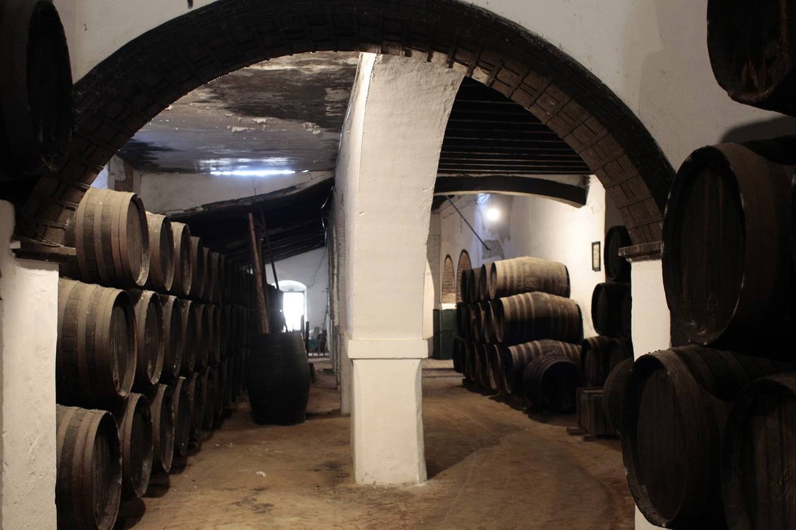 Bodegas Góngora: Enoturismo de lujo en el Aljarafe