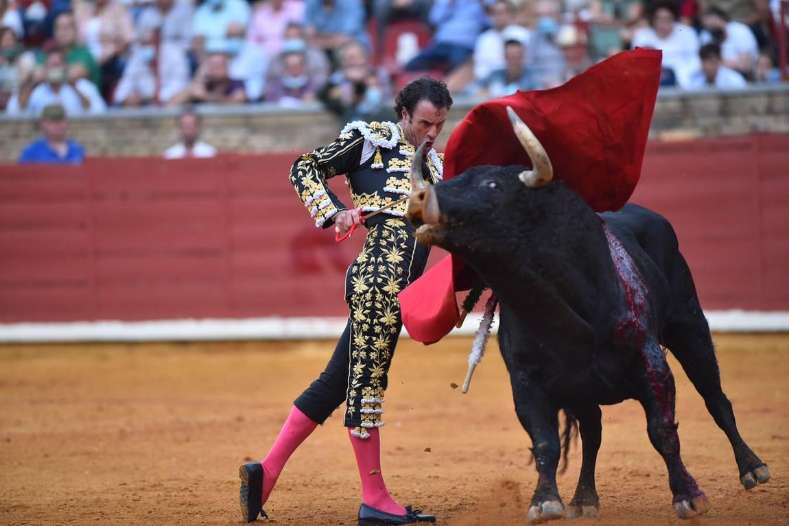 Toros en Córdoba | El cierre de temporada de Finito de Córdoba, en imágenes