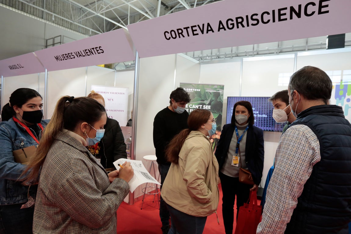 Se buscan universitarios en Sevilla para trabajar en el extranjero