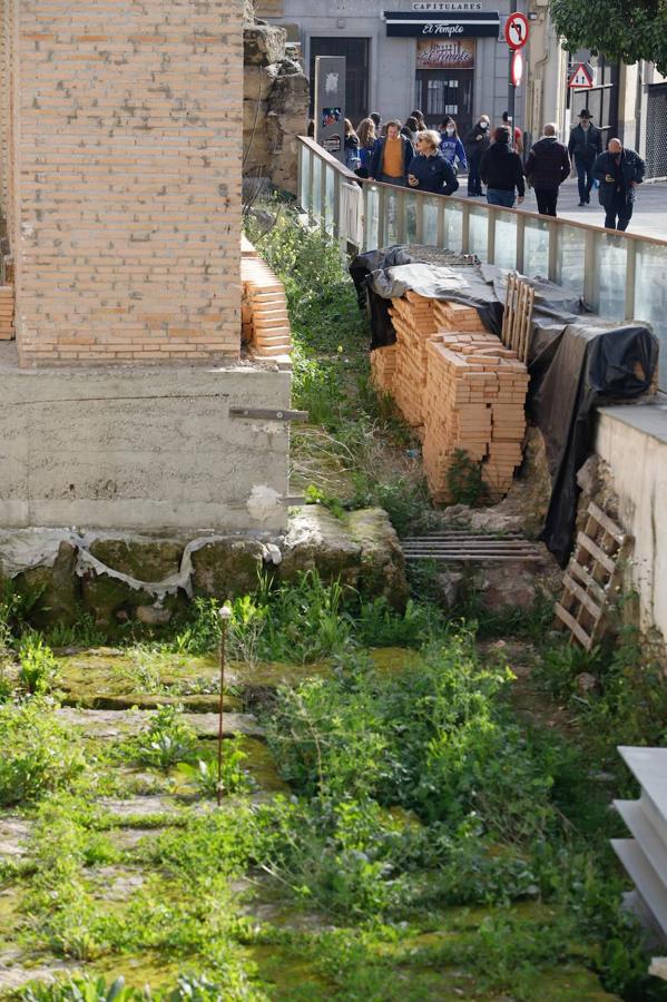 El descuido del Templo Romano de Córdoba, en imágenes