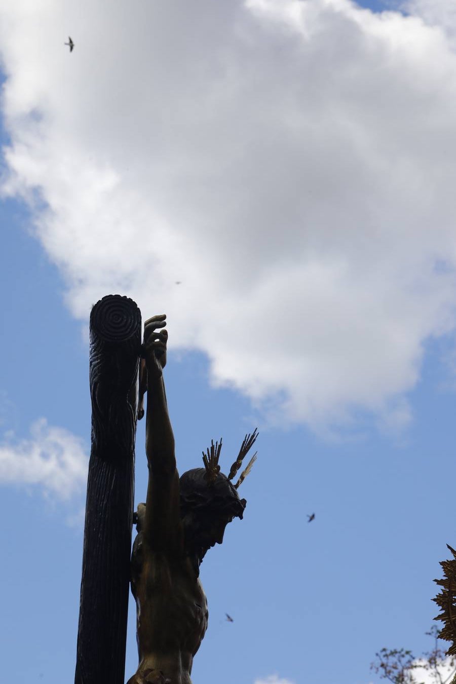 Miércoles Santo | La vibrante salida de la Piedad de Córdoba, en imágenes
