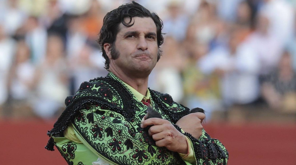 Las imágenes de la corrida de Morante, El Juli y de la alternativa de Manuel Perera en Sevilla en 2022