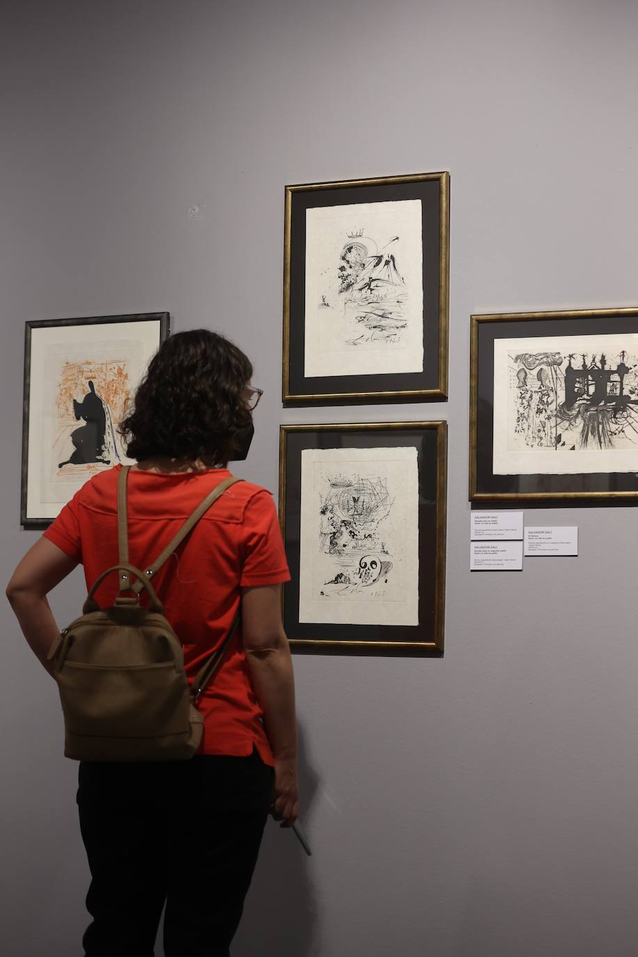 La exposición de Picasso, Dalí y Miró en Córdoba, en imágenes