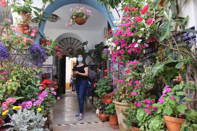 Patios de Córdoba 2022 | La ruta Regina-Realejo, en imágenes