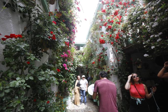 En imágenes, el ambientazo del sábado de Patios en Córdoba