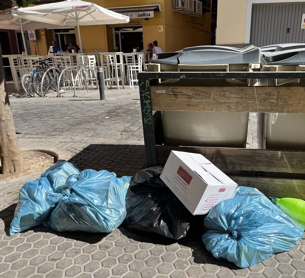 La suciedad inunda las calles de Sevilla
