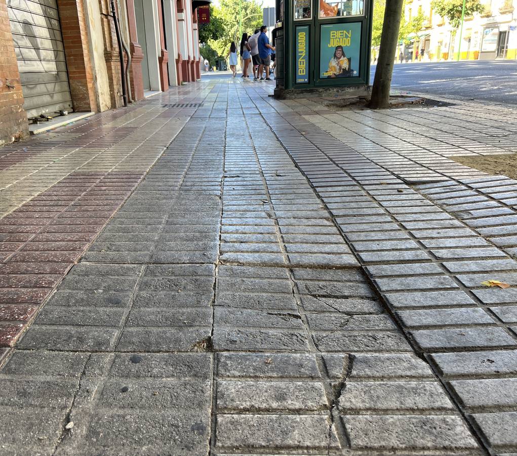 La suciedad inunda las calles de Sevilla