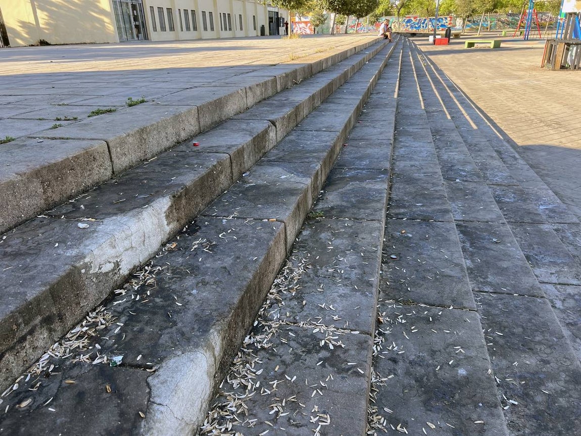 La suciedad inunda las calles de Sevilla