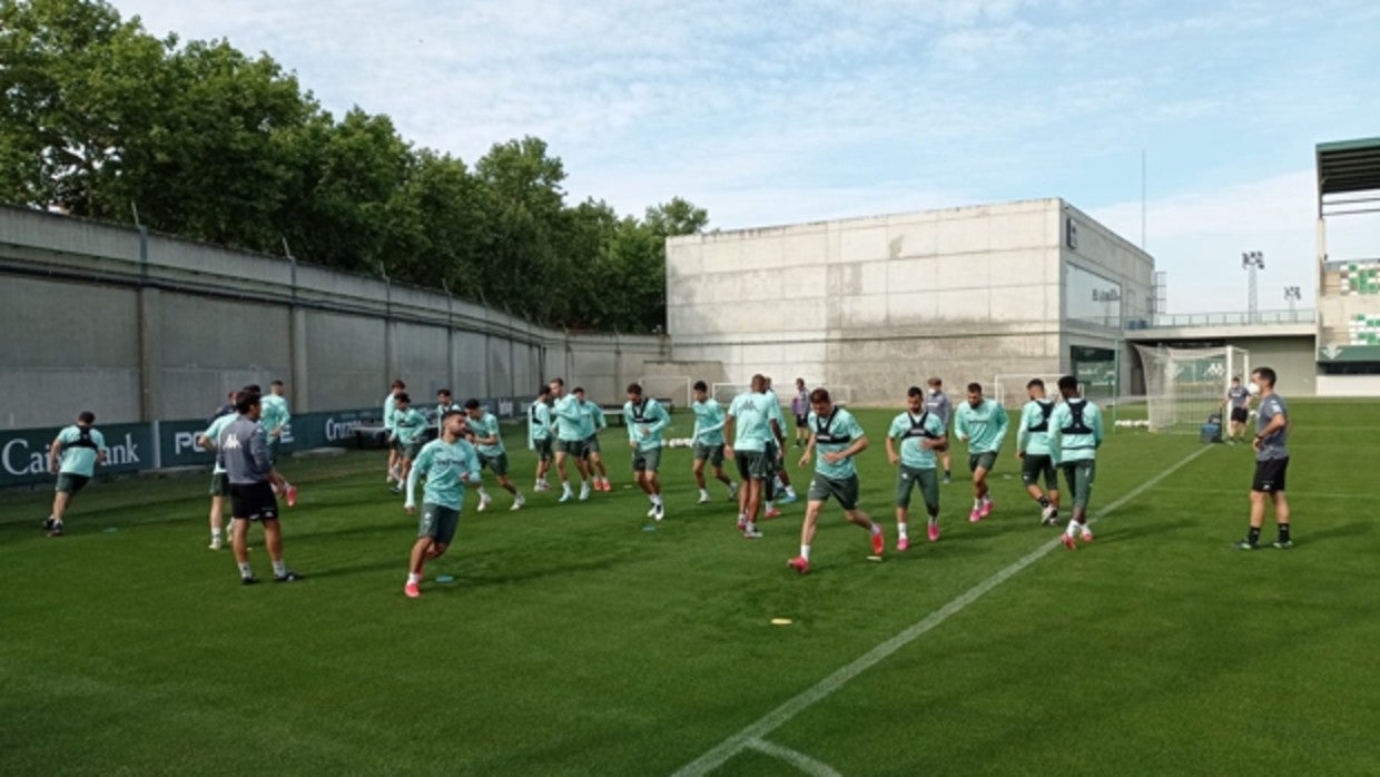 Ejercicios de calentamiento hoy en la ciudad deportiva bética