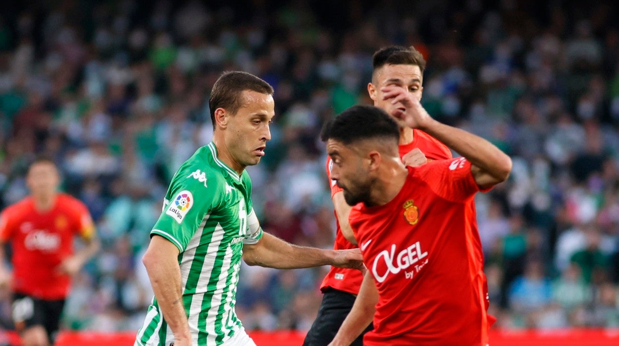 Canales, durante el Betis-Mallorca jugado ayer
