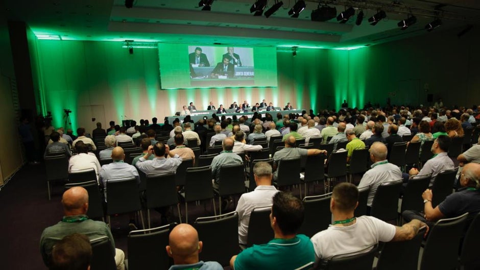 Junta de Accionistas del Betis, en directo: votación de la ampliación de capital, discurso de Ángel Haro, declaraciones de accionistas y última hora