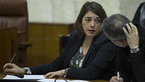Elena Cortés este miércoles en el Parlamento