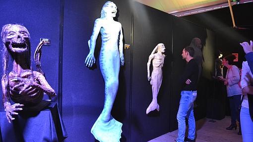 Sirenas que pueden encontrarse en la muestra