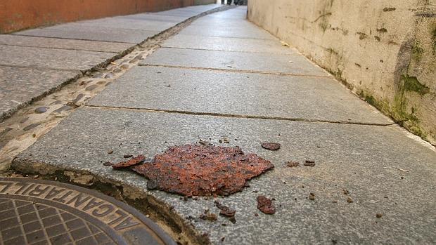 Hasta 600 euros de multa por ensuciar las calles de Córdoba