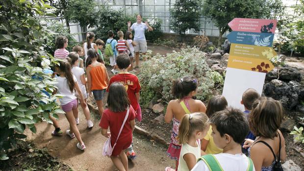 Escuela de verano para niños en el Jardín Botánico de Córdoba