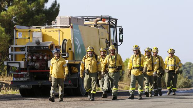 Un grupo de bomberos del Dispositivo de Extinción de Incendios Forestales