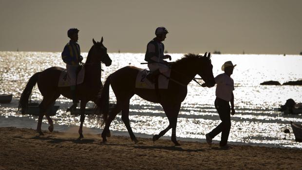 Contraluz de los caballos de carrera en la puesta de sol