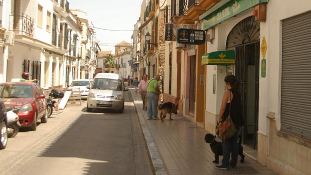 Detenido un ladrón en Palma del Río por un robo con violencia