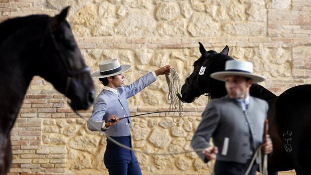 Ambiente en Cabalcor, en la anterior edición de la cita