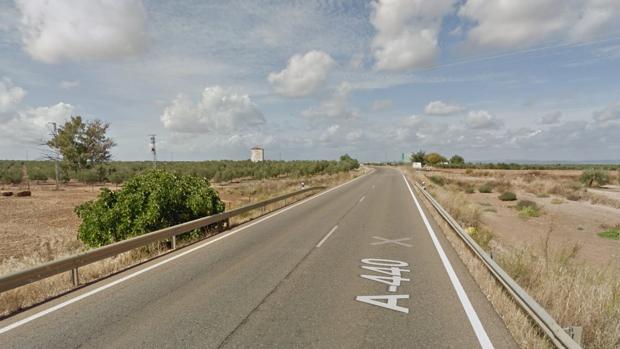 Imagen de la carretera que va desde Fuencubierta a Fuente Palmera