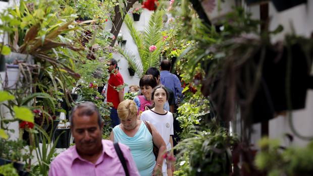 Visitantes en uno de los patios que participan en el concurso