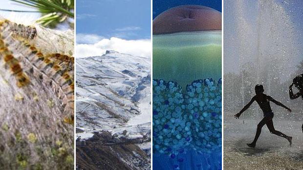 El cambio climático ya es una realidad en Andalucía: estas son sus huellas