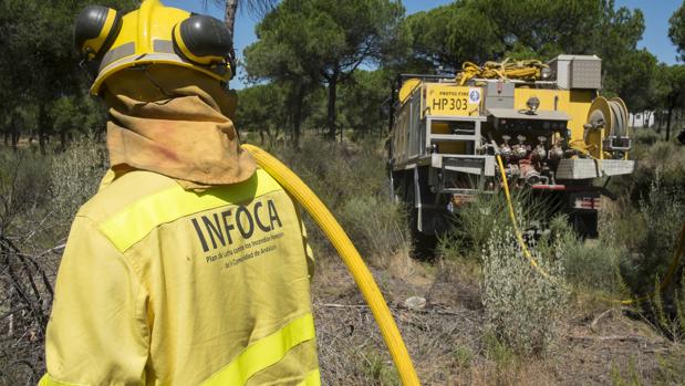 Bomberos trabajando en al zona del incendio
