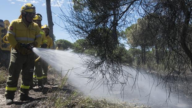Operarios trabajando en la extinción del incendio del entorno de Doñana