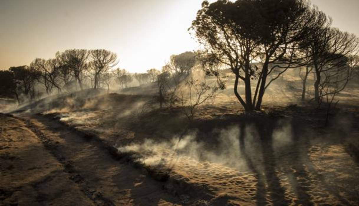 Imagen de la Cuesta Maneli que tiene cerrado el acceso a la playa tras el fuego