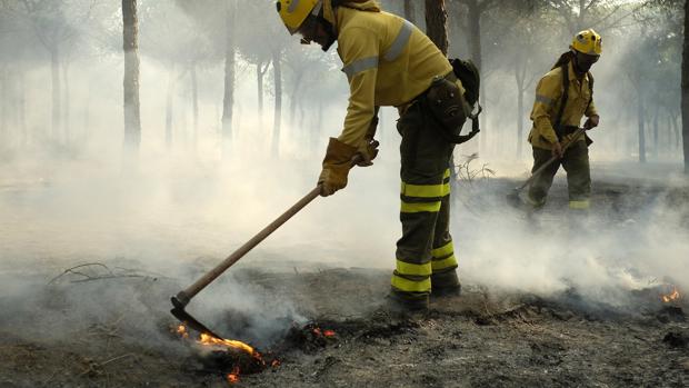 Bomberos trabajan sobre las llamas del incendio de Moguer