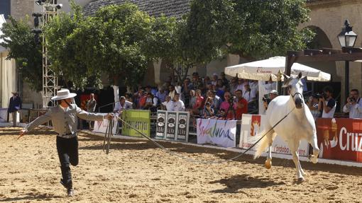 La decimoquinta edición de Cabalcor arranca este jueves