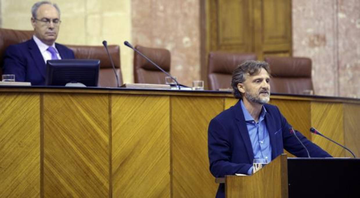 El consejero de Medio Ambiente durante una comparecencia en el Parlamento