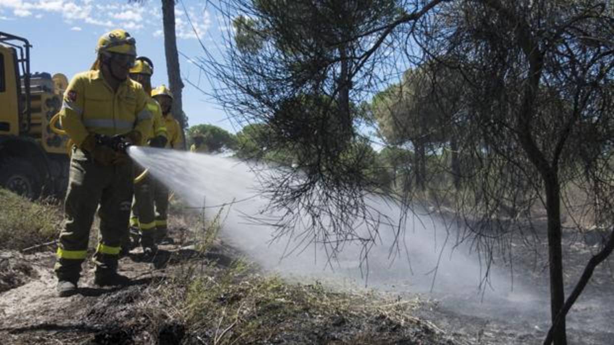 Miembros del Infoca en las tareas de extinción del fuego declarado en Moguer