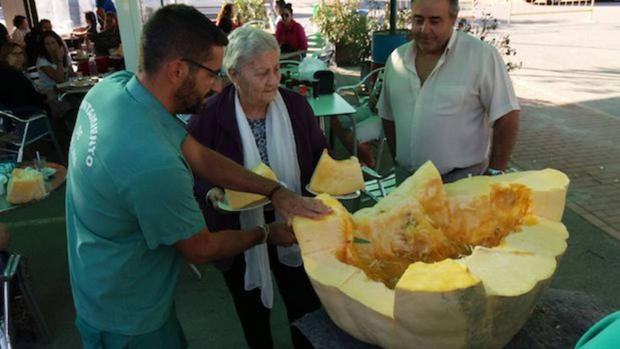 En busca de la calabaza más gorda de Andalucía